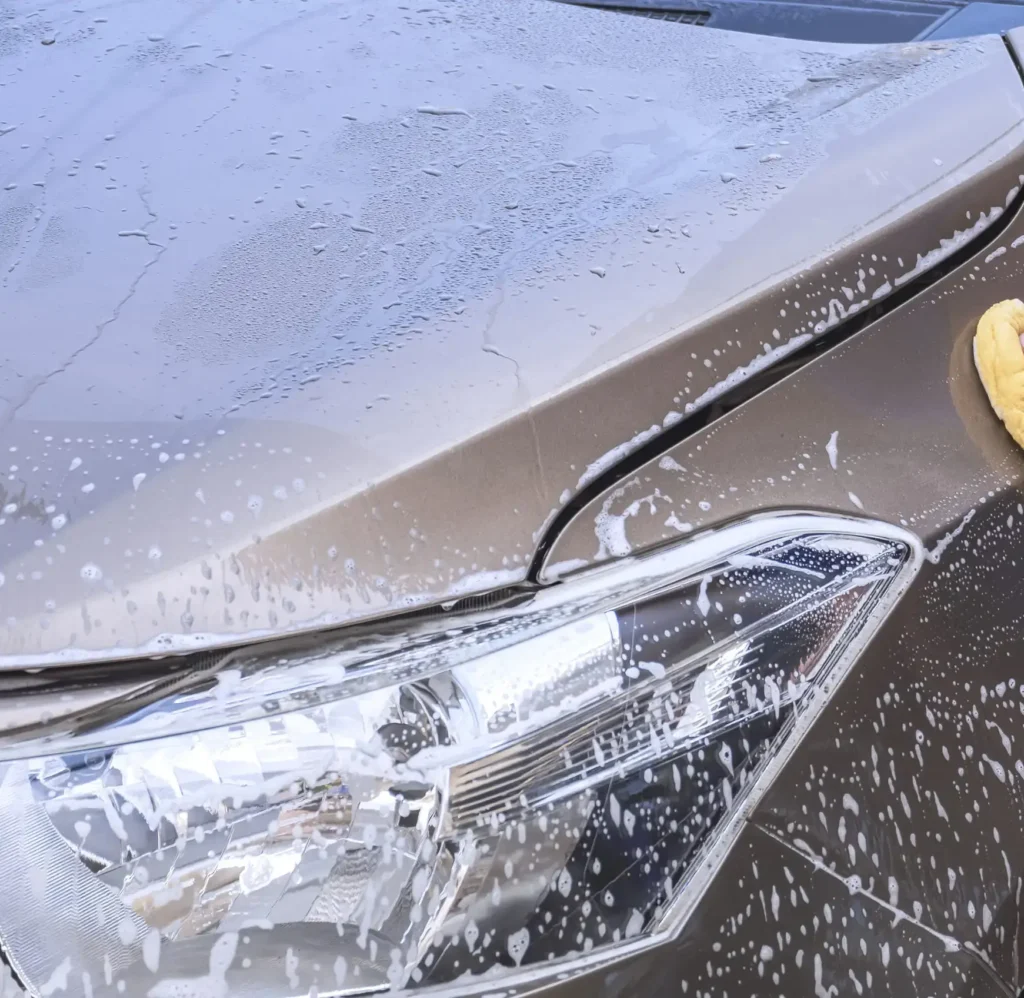 window cleaning sponges