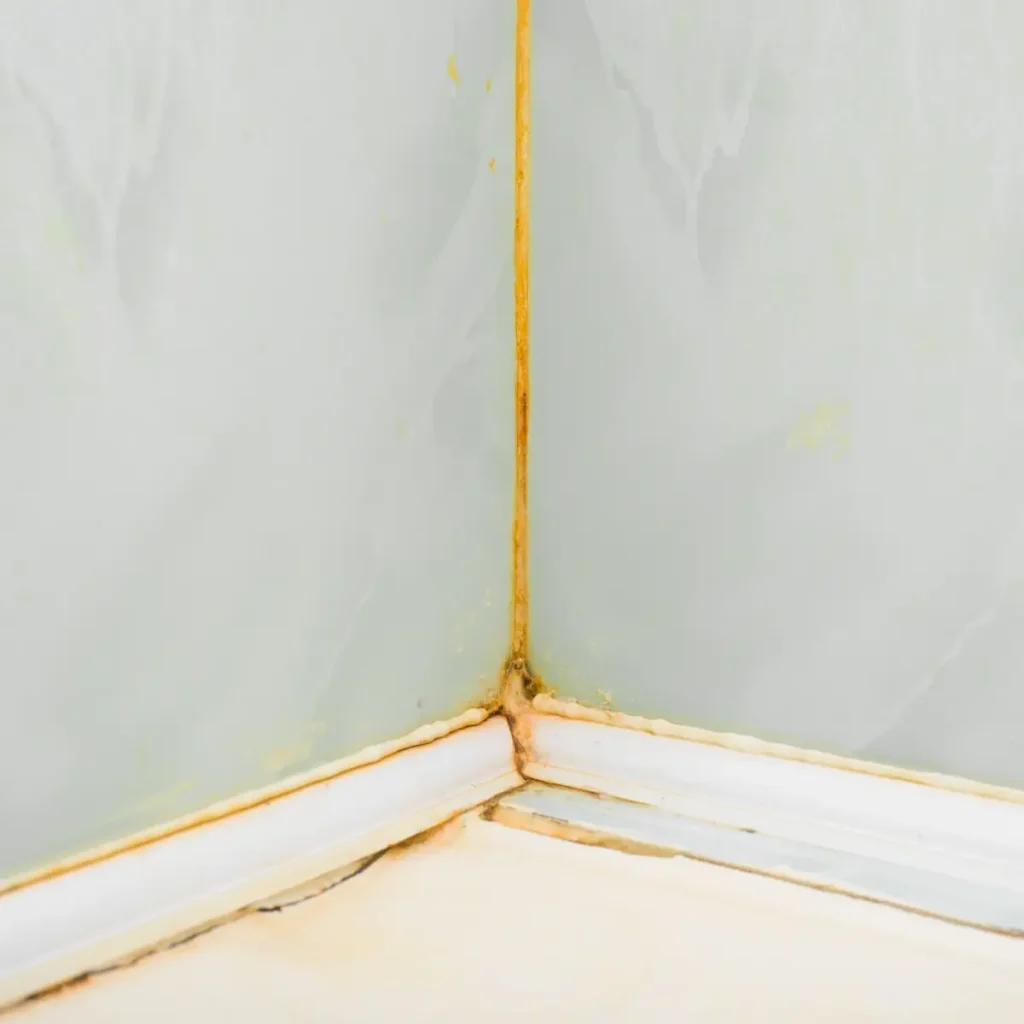 How to Prevent Mold in Small Bathrooms with a Scrub Sponge